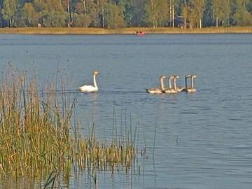 Фото номера Дом для отпуска Дома для отпуска Holiday Home Peltokorte г. Alvettula 6